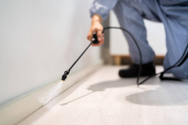 Licensed Exterminator service in Wesley Chapel, NC - Show Me Pest Control