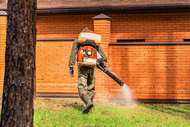Top rated local Mosquito Control specialists in Wesley Chapel, NC